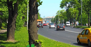 Посадка деревьев и кустарников в Михайловке — стоимость от 1220 руб.
